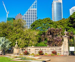 5  Sydney Parks and Gardens to Add to your Itinerary