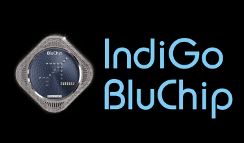 IndiGo Bluchip