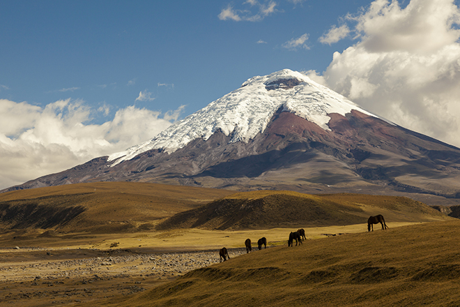 Kaffees Quito Äquator