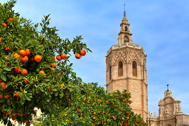 Citrusvruchtenparfum op de weg naar Spanje				