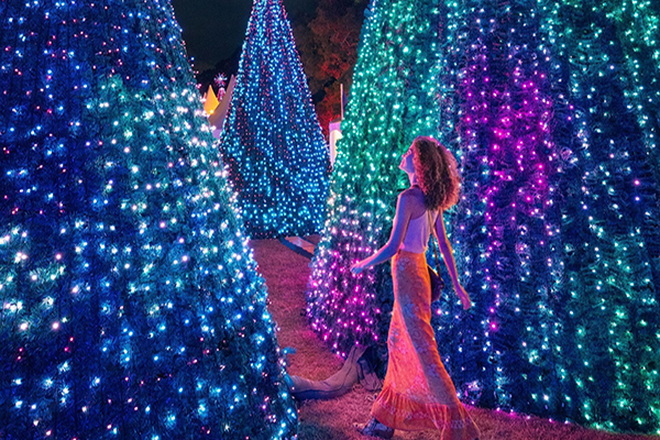 Digital Christmas Forest at Noel Sydney