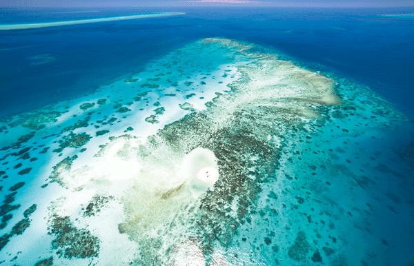 Aerial view of the Great Barrier Reef