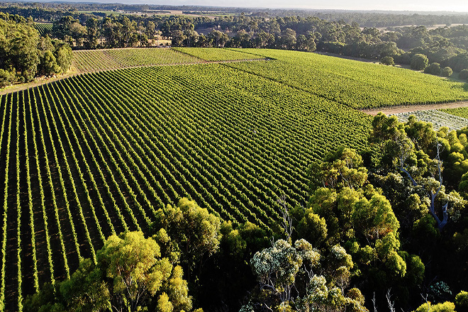 Voyager Estate Vineyard, Margaret River