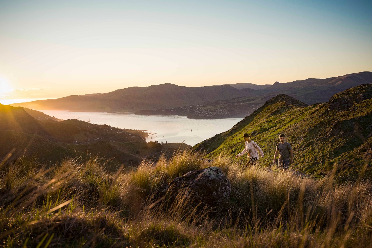 Things to do in Christchurch - Port Hills