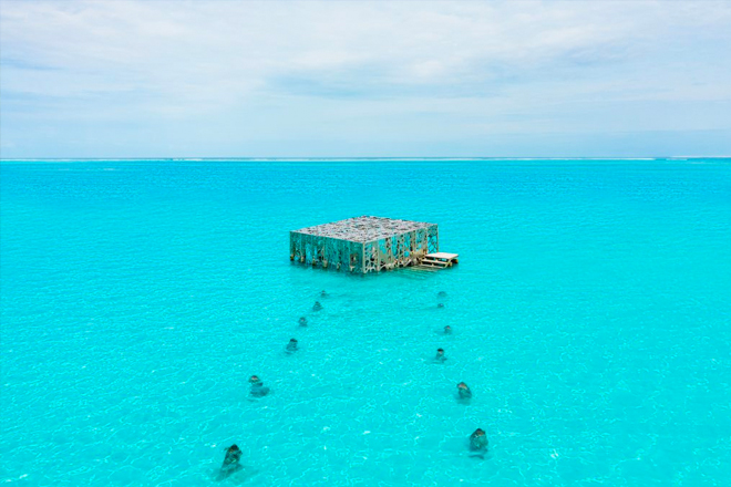 Maldives family resort: the Coralarium at Fairmont Sirru Fen Fushi is an art installation at sea