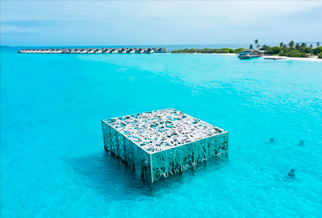 Maldives family holiday: Coralarium underwater art installation at Fairmont Sirru Fen Fushi