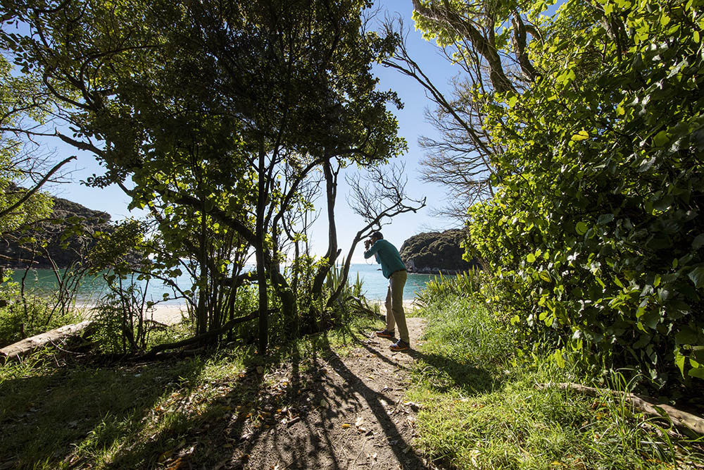 Abel Tasman National Park