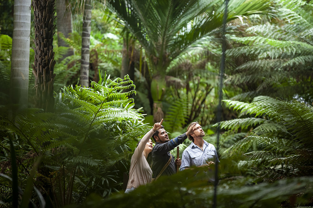 Aboriginal Heritage Walk – Royal Botanic Gardens