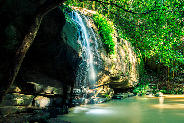 Serenity Falls in Buderim, Sunshine Coast