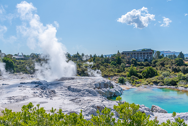 Pohutu geyser at Te puia village near Rotorua