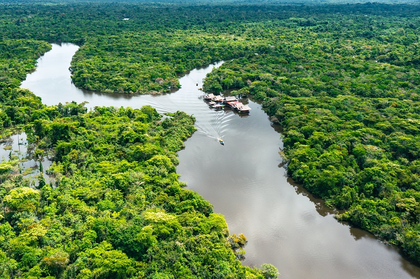 Foto da Floresta Amazônica no Peru