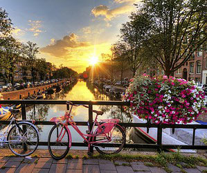 Primavera ad Amsterdam	