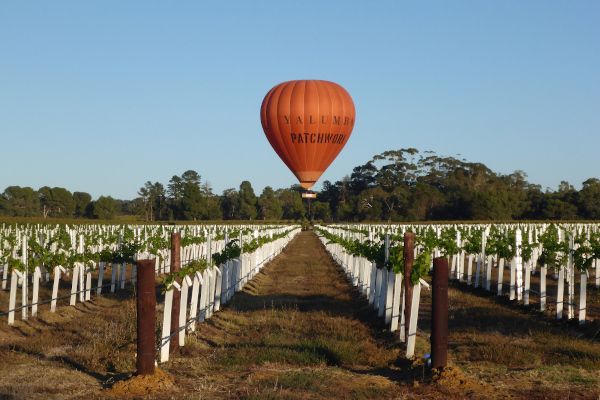 A hot air balloon, lifting up over an iconic holiday destination, the Barossa Valley. There’s no better way to take in all of the Barossa Valley than from a hot air balloon. Image credit: Exploring9to5