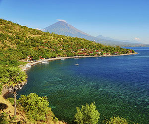 Dive into the heart of Bali's coral reef