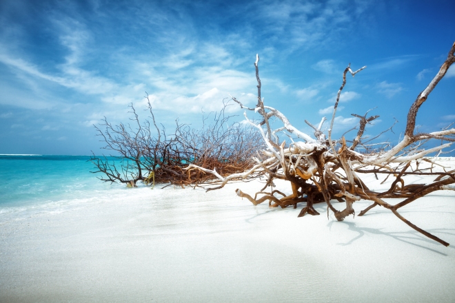 beaches in maldives
