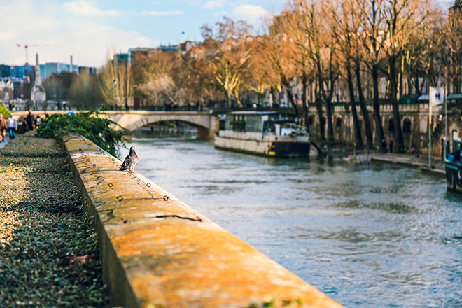 paris weather tourism