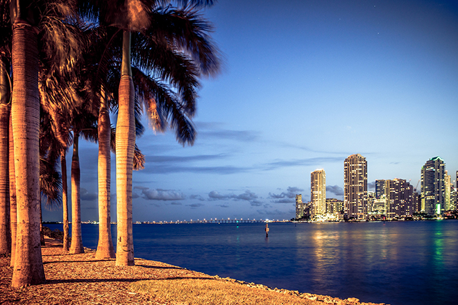 Cool And Interesting Things To Do In Miami At Night