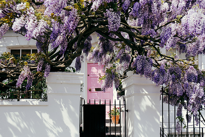 cool things to do in london