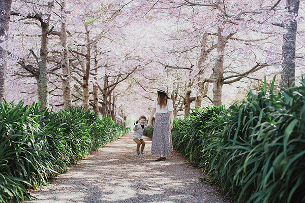 Adult and child enjoying the blooms at Blossfest