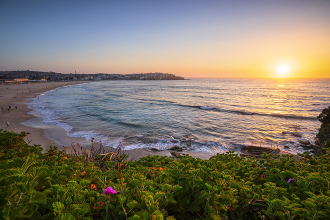 Bondi Beach, Destination NSW