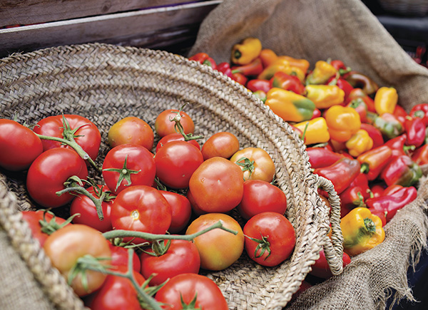 Fresh Produce at Byron Bay Markets, Destination NSW