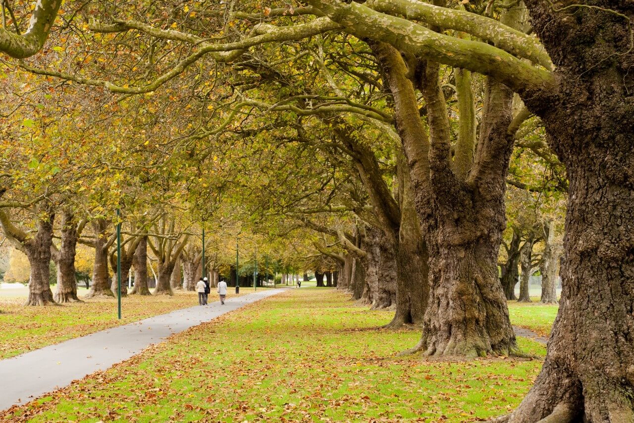 Exploring Christchurch on foot