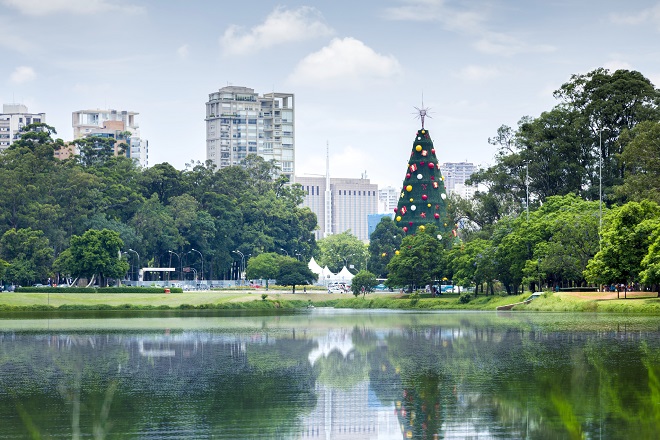 Árvore de Natal do Parque Ibirapuera