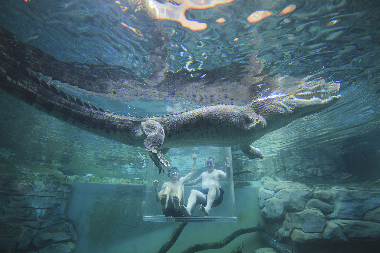 Crocosaurus Cove