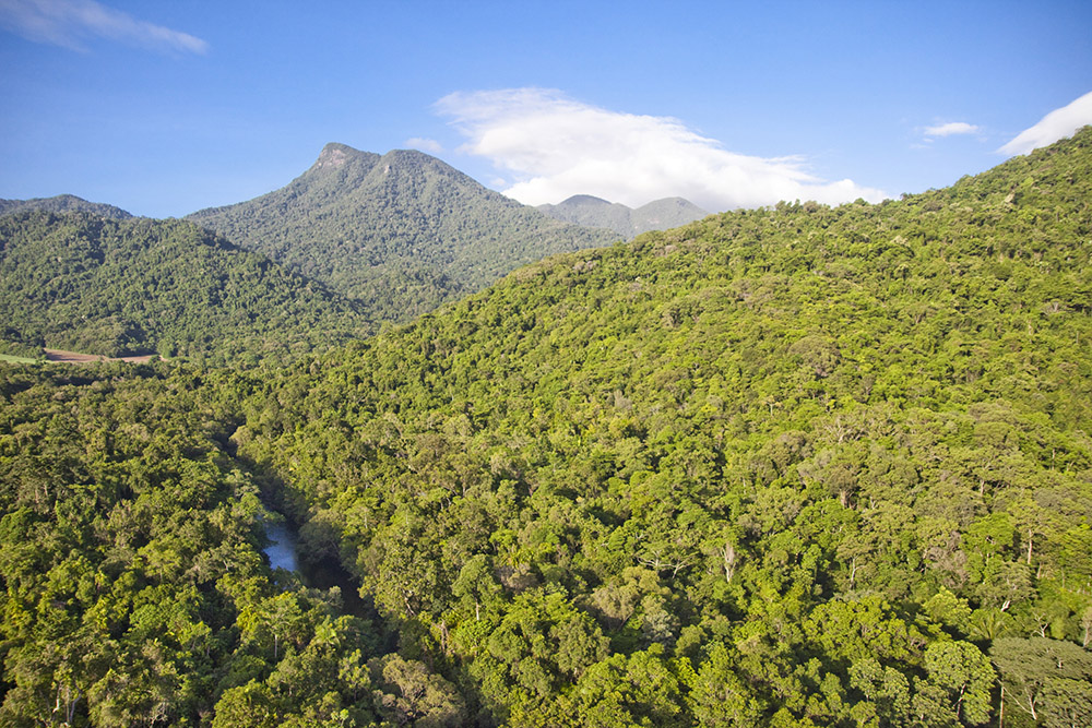 Silky Oaks Lodge, Daintree National Park, Wet Tropics