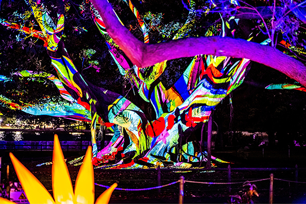 The 'Lightscape' installation in the Royal Botanic Gardens during Vivid 2023.
