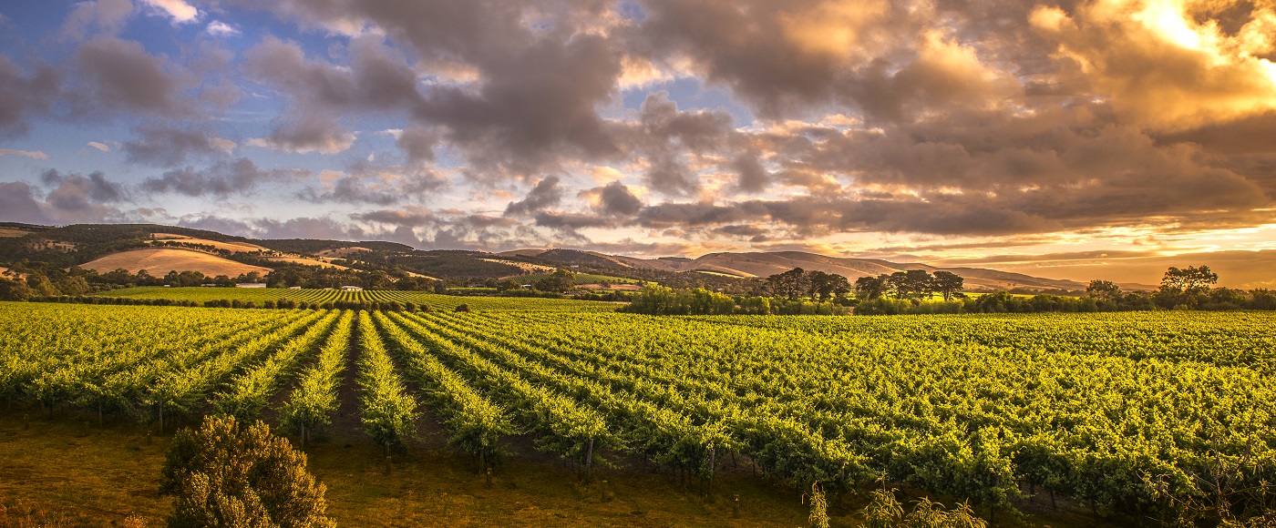 Barossa Valley