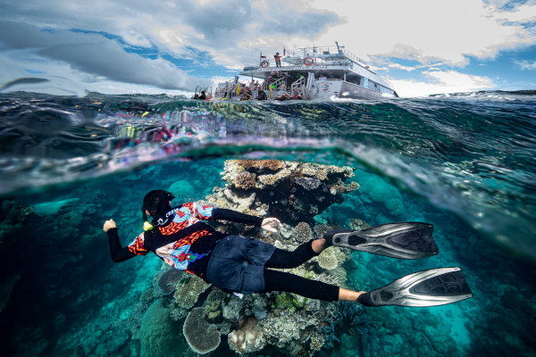 Great Barrier Reef with Dreamtime Dive & Snorkel shows a natural wonder from an Indigenous perspective.
