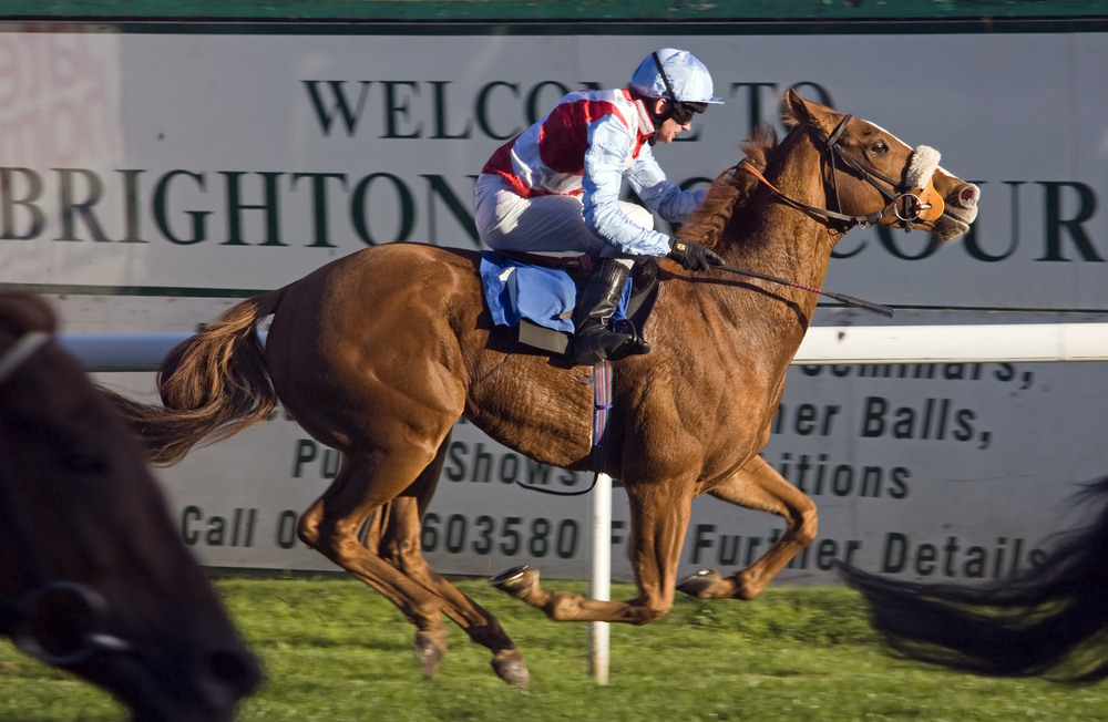 History of Brighton Racecourse