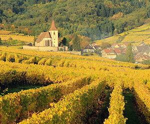 Faire une dégustation de vins d'Alsace à Colmar