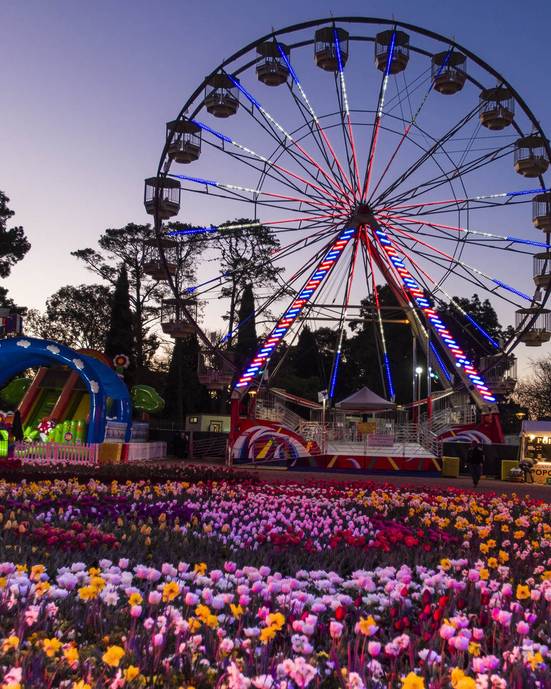 Guide to Floriade Canberra’ Flower Festival