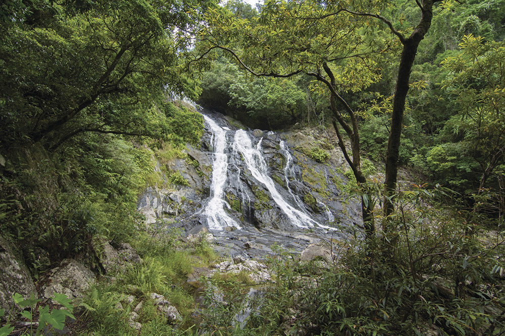 FNQ Nature Tours