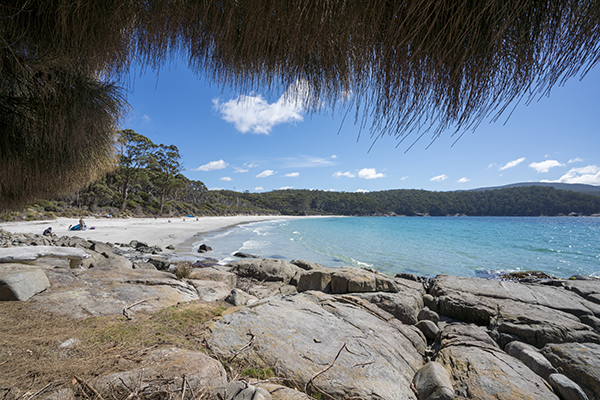 FORTESCUE BAY IS JUST ONE OF THE SERENE BEACHES TO DISCOVER IN HOBART IMAGE CREDIT: LUKE TSCHARKE VIA TOURISM TASMANIA
