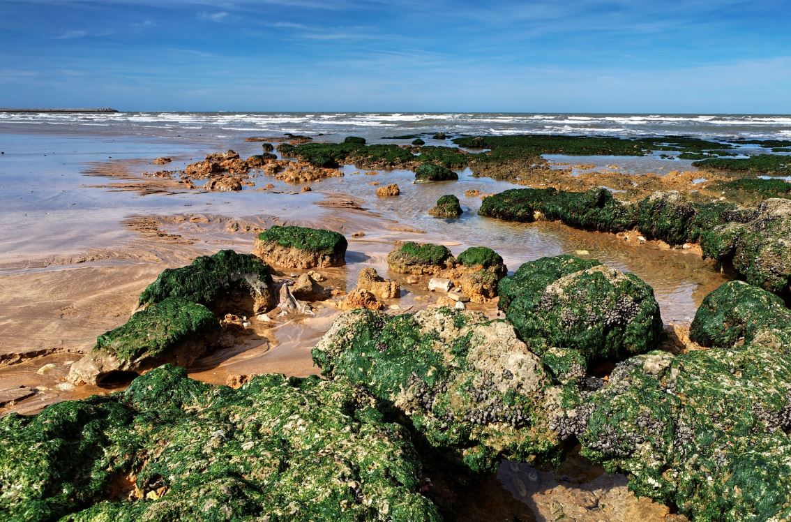 plage el jadida