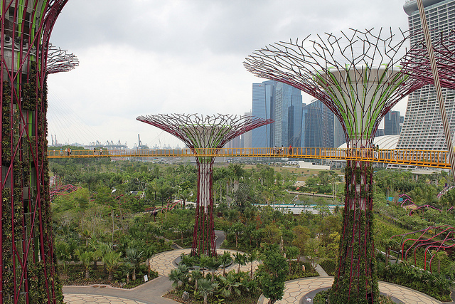 Gardens by the Bay