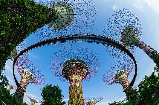 Gardens by the Bay, Singapore Tourism Board