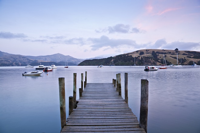 Akaroa Harbour day trip