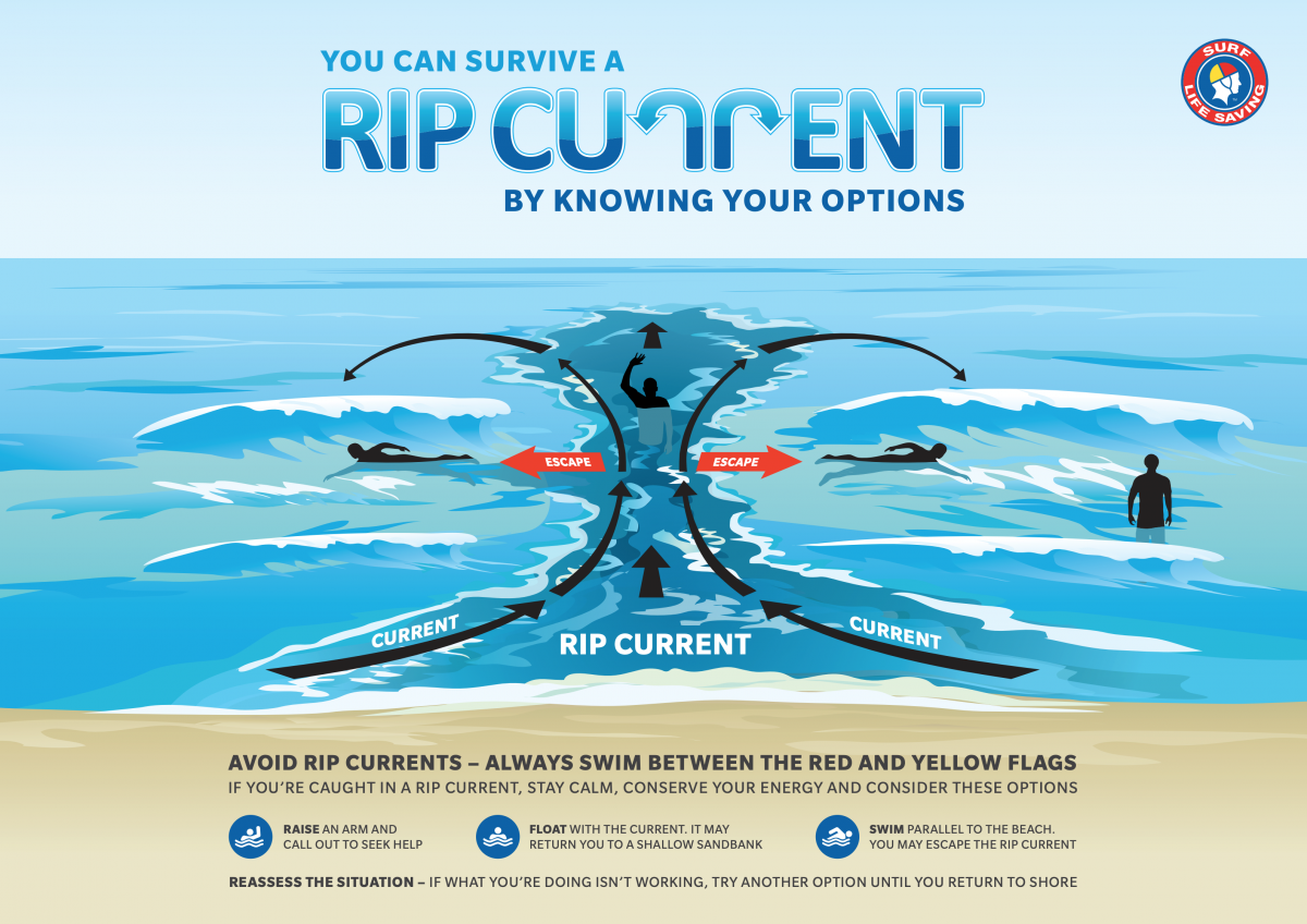 How to survive a rip infographic