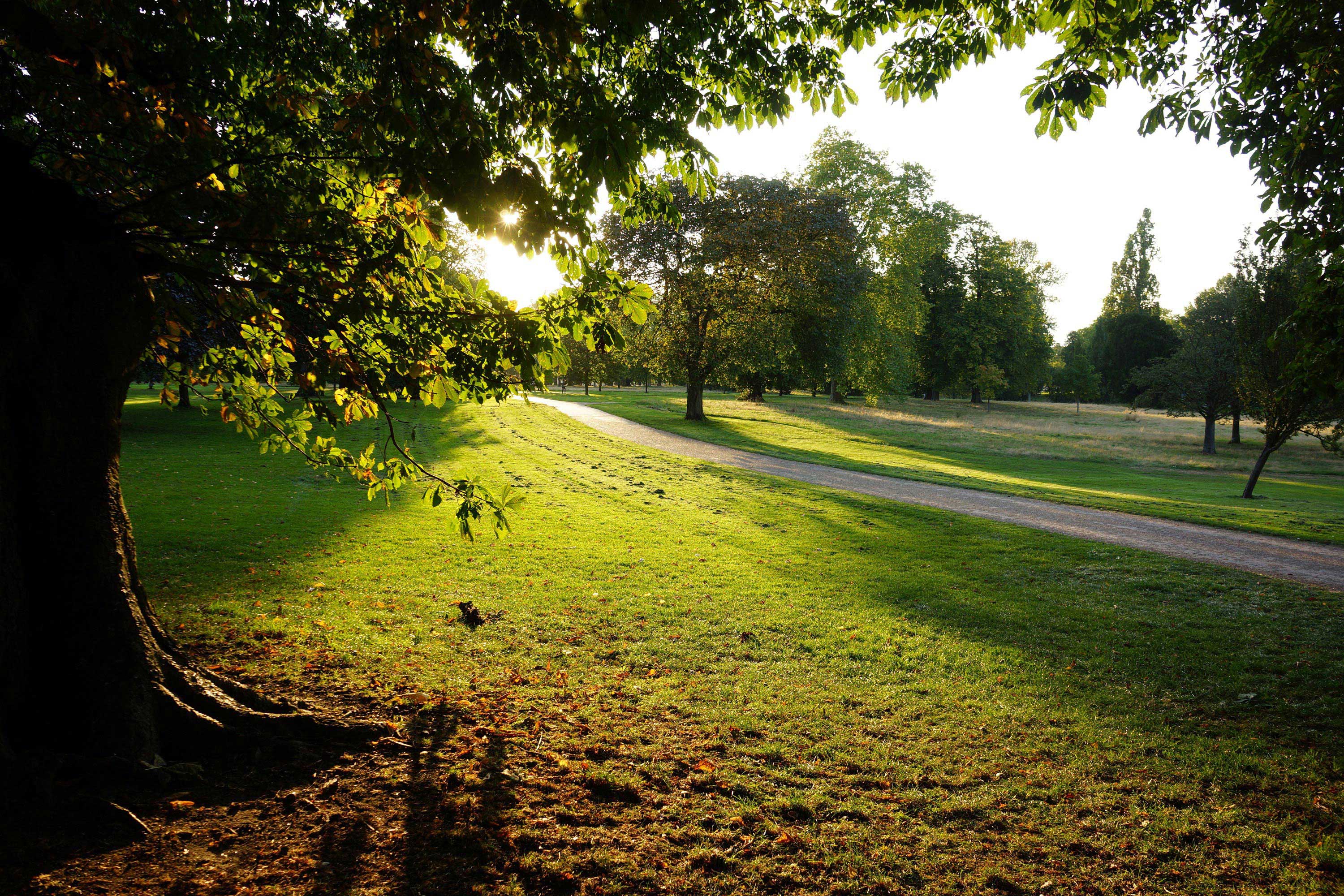 hyde park london