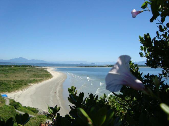 Ilha do Mel : mar, areia, vegetação e flor em destaque