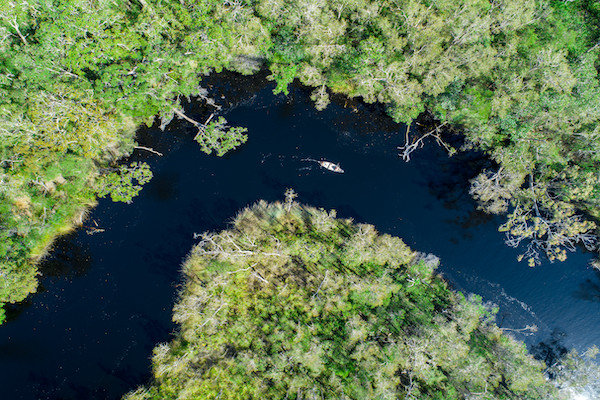 Aerial view of Noosa Everglades