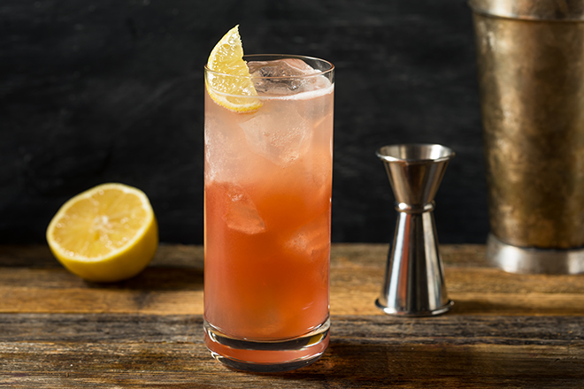 Refreshing Cold Sloe Gin Fizz Cocktail