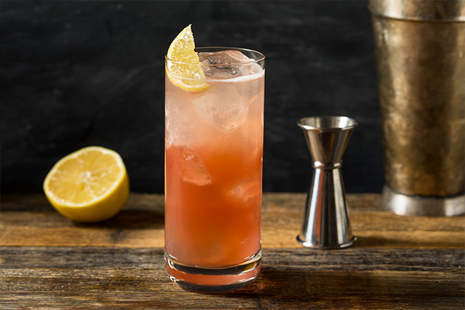 Refreshing Cold Sloe Gin Fizz Cocktail