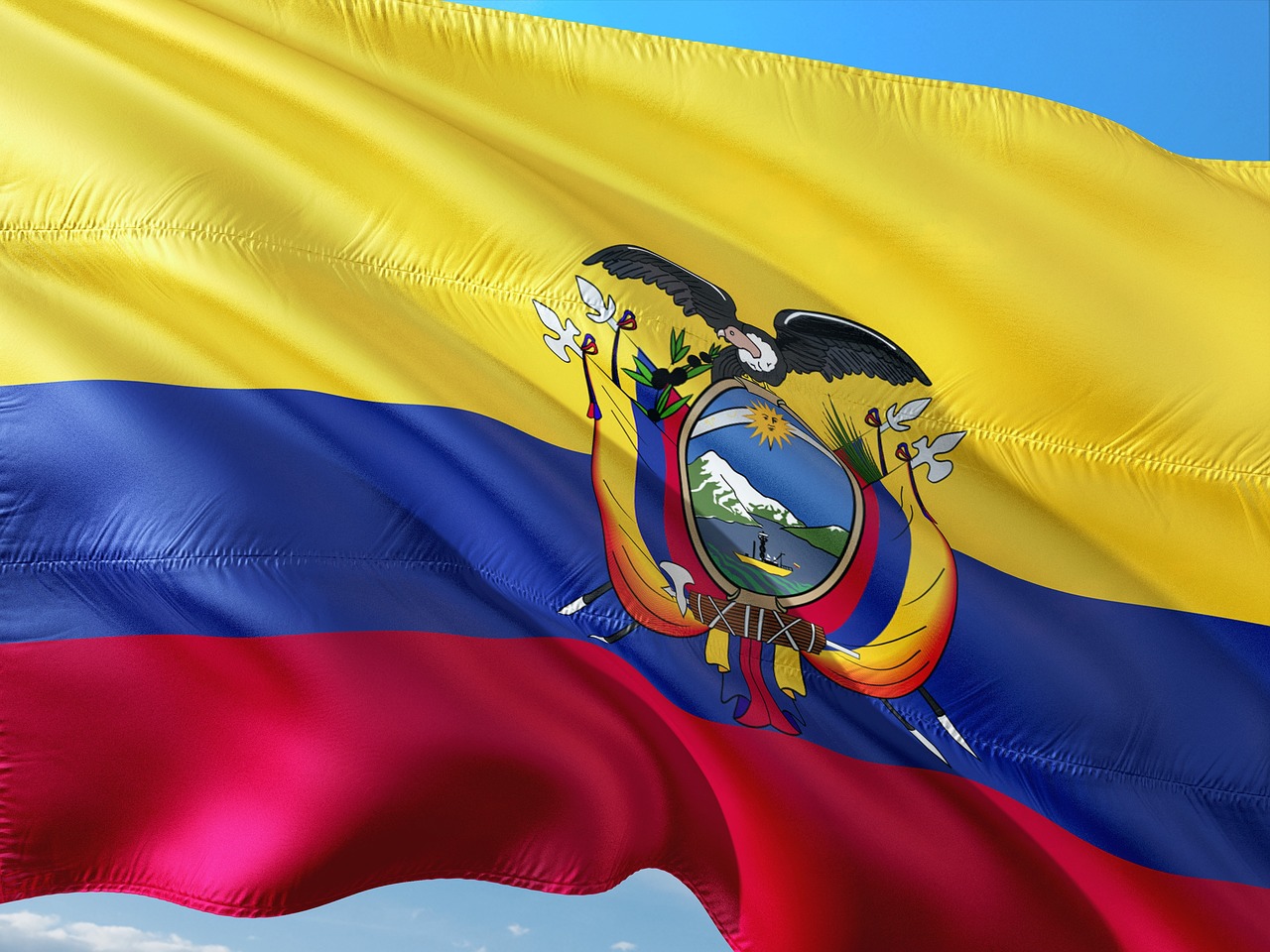 Bandeira do Equador: Libertadores da América