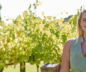 Tips and trends from Wine Ambassador Kristy Farrell.