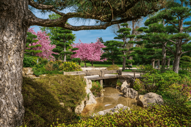 Der japanische Garten im Düsseldorfer Nordpark